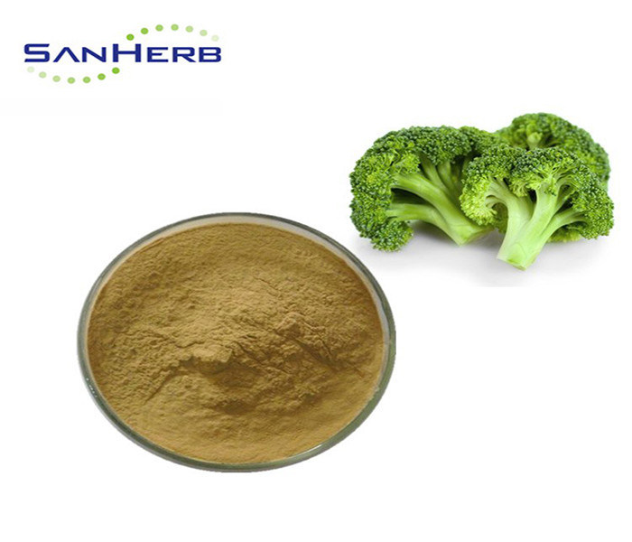 Water Soluble Extract Sulforaphane Powder , Stable Broccoli Seed