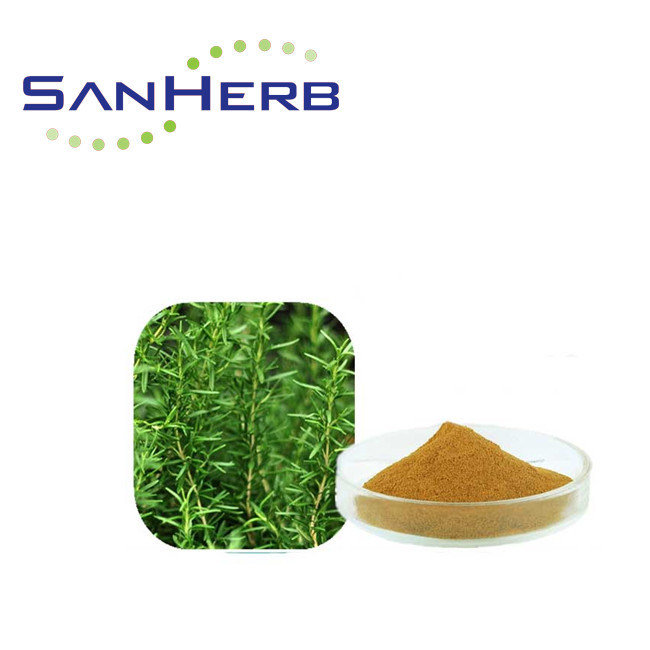 Carnosic Acid Rosemary Extract Powder , Rosmarinic Acid Rosemary Leaf