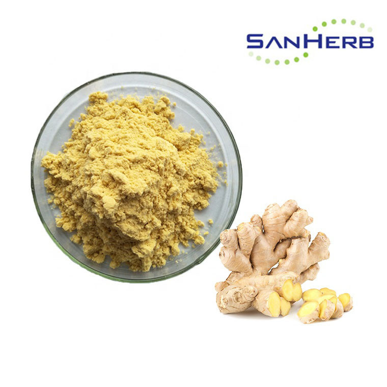 Pure Nature Ginger Root Extract Powder , Zingiber Officinale Rosc Bulk