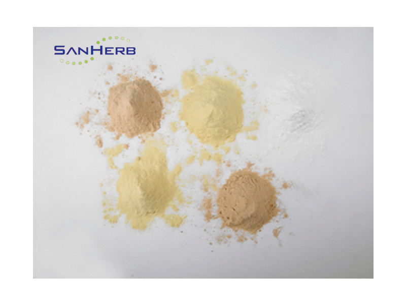 Sapindoside 3070 Soap Nut Extract / Pure Sapindus Extract Powder