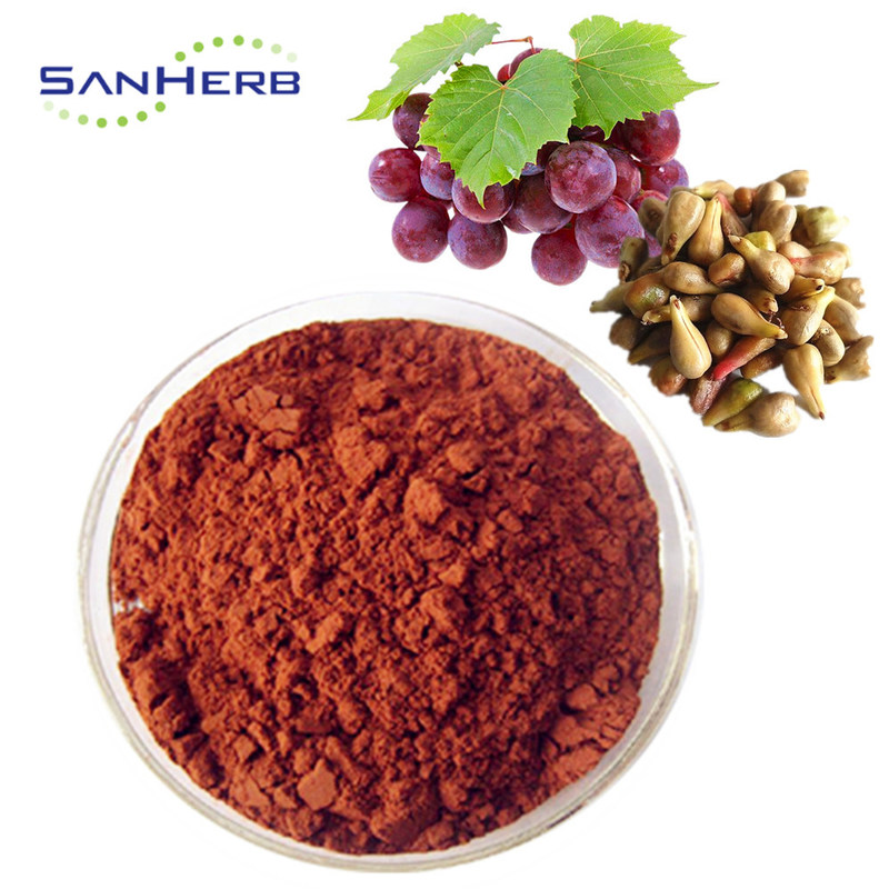 Pure Procyanidins 100 Organic Grape Seed Extract Plant Extract Powder
