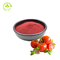 Antioxidants Herbal Extract Powder 5% Lycopene Content Tomato Powder