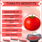 Antioxidants Herbal Extract Powder 5% Lycopene Content Tomato Powder