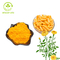 Lutein Organic Plant Extract Powder Marigold Extract Powder