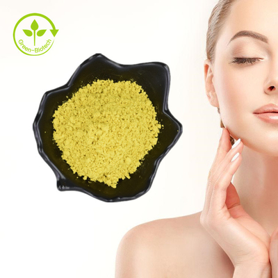 Bayberry Fruit Bark Plant Extract Powder Myricetin 98%