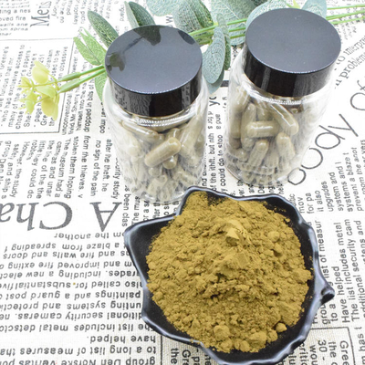 Ajuga Turkestanica Extract Powder 2% Buy Turkesterone