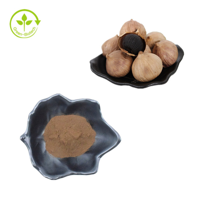 Black Garlic Extract Powder Polyphenols 3% Hot Sale Wholesale Black Garlic Powder