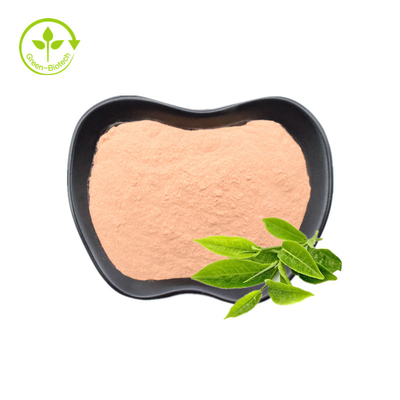 Green Tea Extract 20% 30% Natural L-Theanine Powder