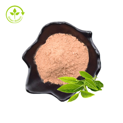 Buy Standard Quality Green Tea Extract Powder With Organically Made For Sale By Indian Exporters Low Prices