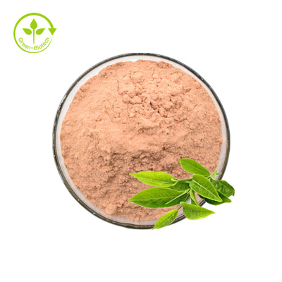 Green Tea Extract Polyphenols 50% 98% Green Tea Extract Powder