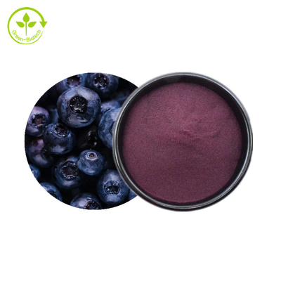 Anthocyanin 25% Blueberry Powder Bulk Natural Plant Extracts Powder