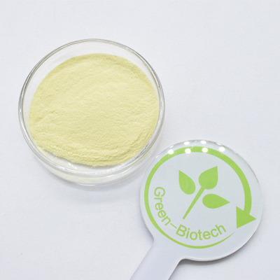 High Quality Best Price Kava Root Extract Powder 50% Kavalactones