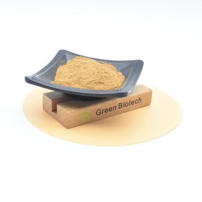Natural Plant Extracts Health Care Hot Sale Bulk Natural Maca Root Extract Powder