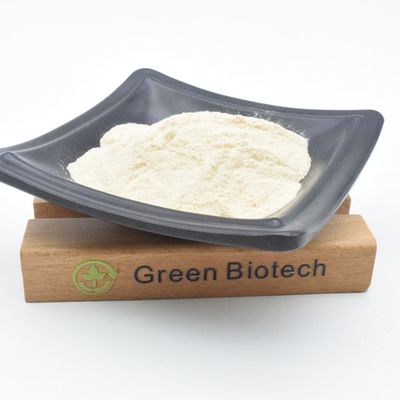 Natural Plant Extracts Best Organic Allicin Powder Garlic Extract Powder