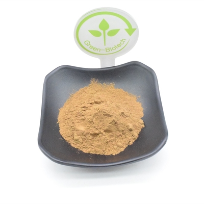 10% Turkesterone Plant Extract Powder