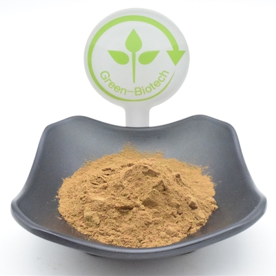 Functional Ajuga Turkestanica Powder 750mg 1000mg Plant Extract Powder