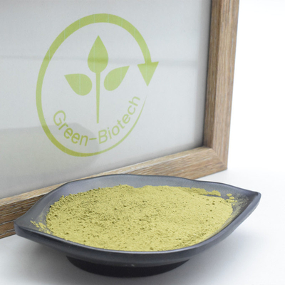 MSDS Natural Plant Extracts Uji Matcha Tea Powder With Rich Umami Taste