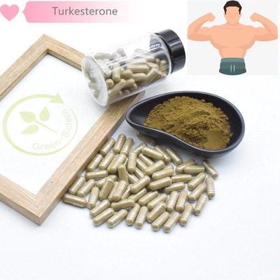 500mg Turkestanica Natural Plant Extracts
