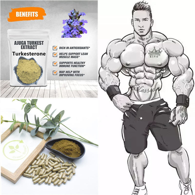 500mg Turkestanica Natural Plant Extracts