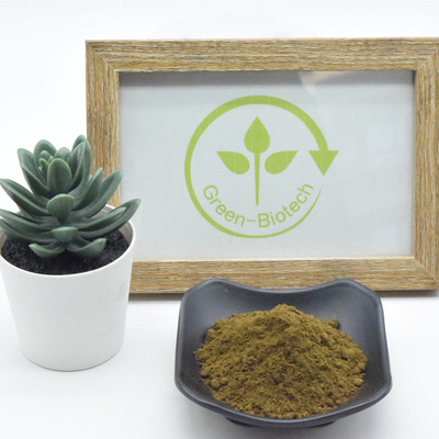Ajuga Turkestanica Natural Plant Extracts 10% Appetite Stimulating