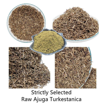 500mg Turkestanica Natural Plant Extracts