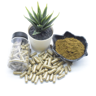Ajuga Turkestanica Natural Plant Extracts 10% Appetite Stimulating