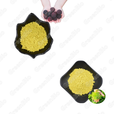 Bayberry Fruit Bark Plant Extract Powder Myricetin 98%
