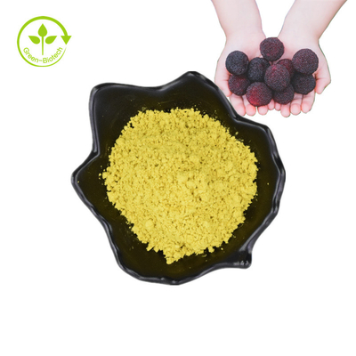 Bayberry Fruit Bark Plant Extract Powder Myricetin 98%