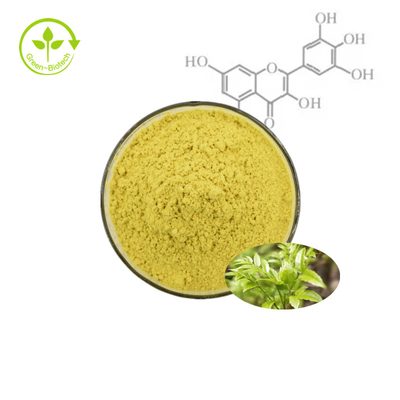 Bayberry Fruit Bark Plant Extract Powder Myricetin 98%