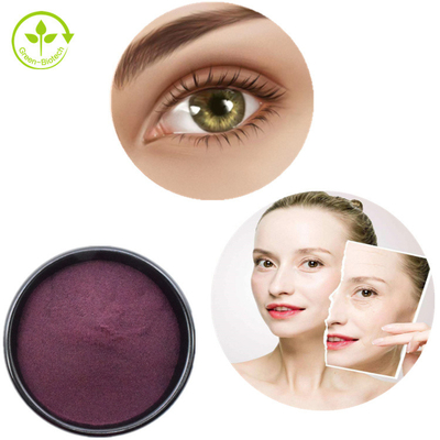 Pure Organic Blueberry Extract Powder Anthocyanin 25%