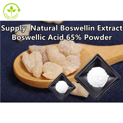 Frankincense Tree Boswellin Extract Boswellic Acid 65% Powder