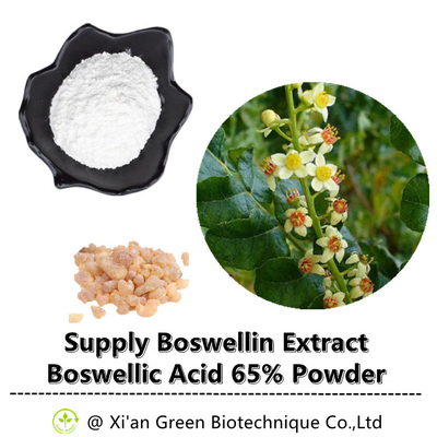 Frankincense Tree Boswellin Extract Boswellic Acid 65% Powder