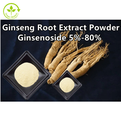 Herbal Ginseng Root Extract Powder Ginsenoside 5% - 80%