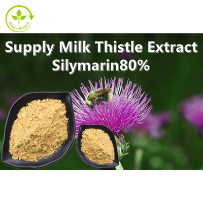 Bulk Price Healthcare Supplement Silymarin Powder Organic Silibin Silymarin Powder