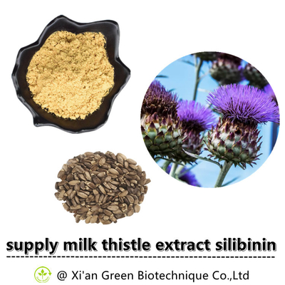 Bulk Price Healthcare Supplement Silymarin Powder Organic Silibin Silymarin Powder