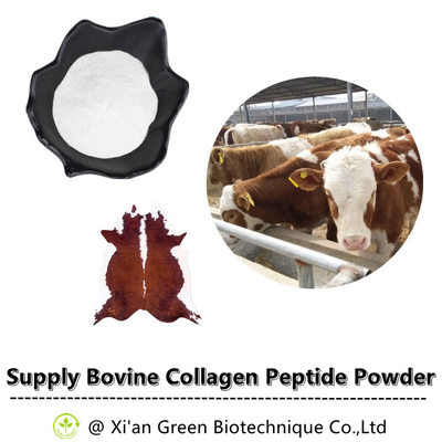 HPLC Plant Extract Powder Hydrolyzed Bovine Collagen Peptide Powder