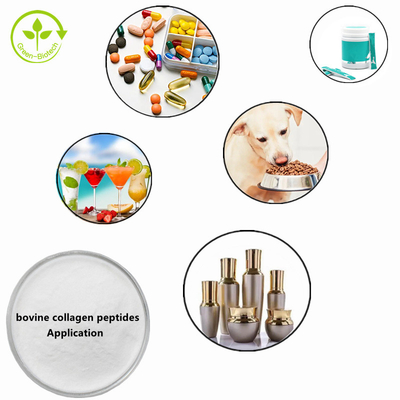 HPLC Plant Extract Powder Hydrolyzed Bovine Collagen Peptide Powder