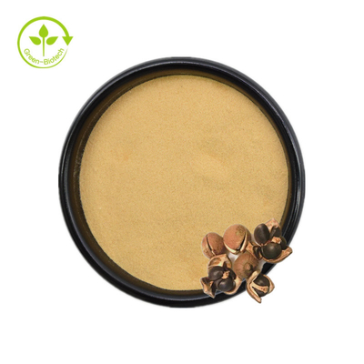 Camellia Sinensis Seed Extract Tea Saponin Powder 50% 60% 70% 80% 85% 90% 95% 98%