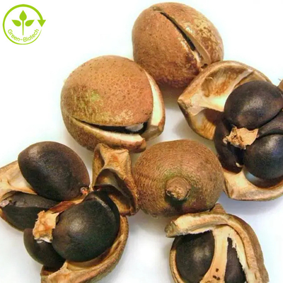 Camellia Sinensis Seed Extract Tea Saponin Powder 50% 60% 70% 80% 85% 90% 95% 98%