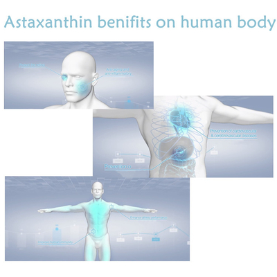 Antioxidant Haematococcus Pluvialis Extract 10% Astaxanthin Powder Supplements