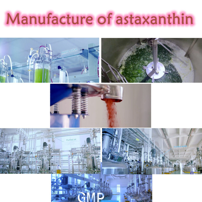 Antioxidant Haematococcus Pluvialis Extract 10% Astaxanthin Powder Supplements