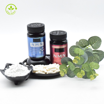 Anti Aging Pure Nicotinamide Mononucleotide Powder For Supplement