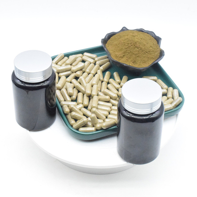 OEM Ajuga Turkestanica Extract Powder 2% 10% 500mg Turkesterone Capsules