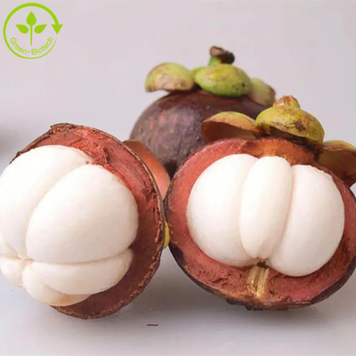 Pure Natural Mangosteen Extract mangosteen p.e-alpha-mangostin 10%-90% Alpha Mangostin extract powder