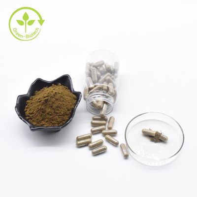 Turkesterone Capsule Natural Ajuga Turkestanica Extract Capsule For Supplement