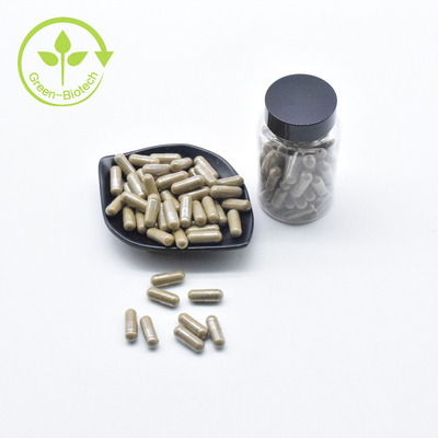 Turkesterone Capsule Natural Ajuga Turkestanica Extract Capsule For Supplement