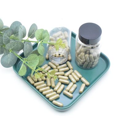 Plant Extract Ajuga Turkestanica Extract Powder 40% 500mg/60caps/Bottle Turkesterone Capsules