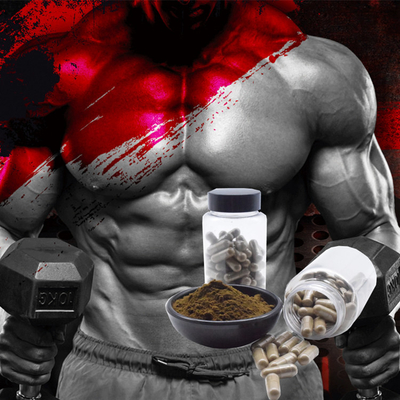 OEM Supplement Ajuga Turkestanica Turkesterone Private Label 10% 20% Turkesterone Extract Turkesterone Capsuels