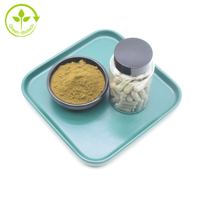 OEM Supplement Ajuga Turkestanica Turkesterone Private Label 10% 20% Turkesterone Extract Turkesterone Capsuels