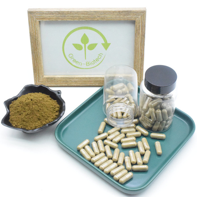 Custom Turkesterone Capsule Natural Ajuga Turkestanica Extract Capsule For Supplement